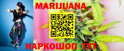 крисы Лесосибирск
