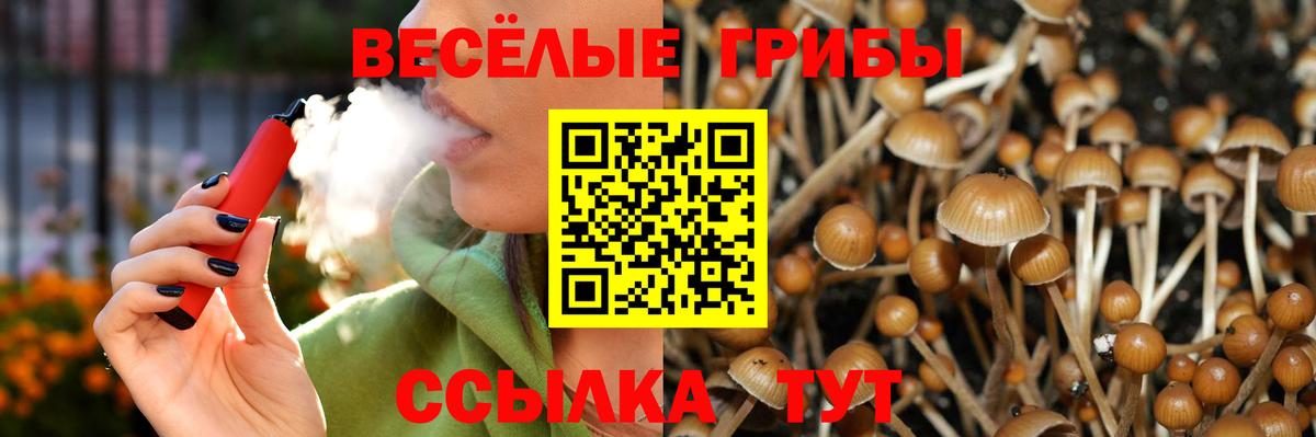 Гудермес  Псилоцибиновые грибы MAGIC MUSHROOMS  Вход с VPN 